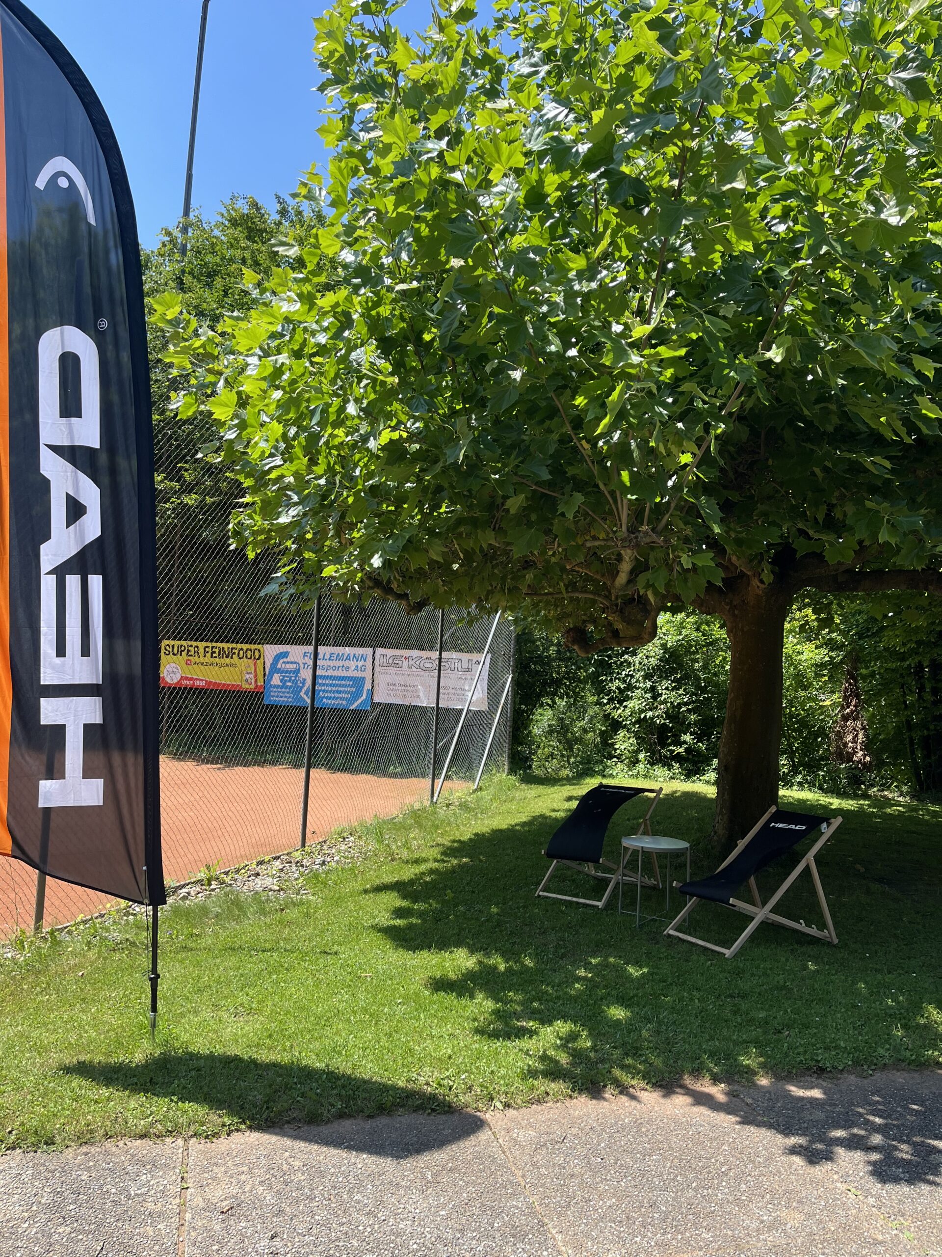 2024-06-25 12.55.01-1